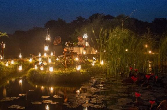 Propose-in-the-Wild